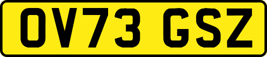OV73GSZ