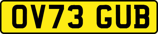 OV73GUB