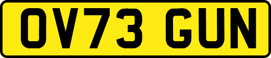 OV73GUN