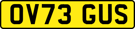 OV73GUS
