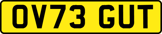 OV73GUT