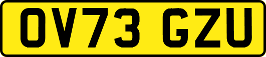OV73GZU