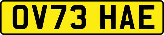 OV73HAE