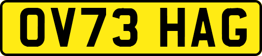OV73HAG