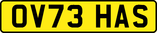 OV73HAS