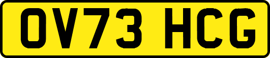 OV73HCG