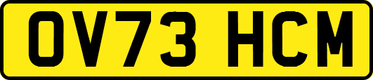 OV73HCM