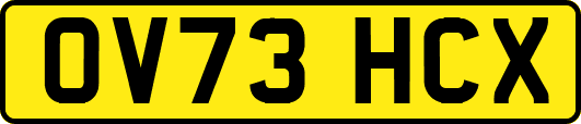 OV73HCX