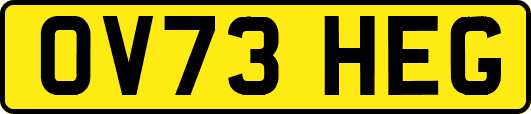 OV73HEG