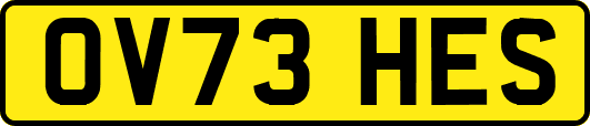 OV73HES
