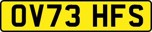 OV73HFS