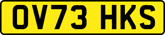 OV73HKS