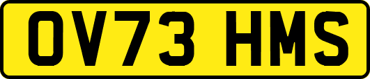 OV73HMS