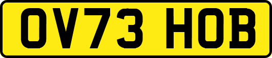 OV73HOB