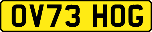 OV73HOG