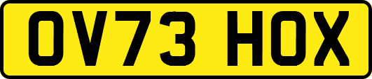 OV73HOX