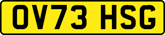 OV73HSG