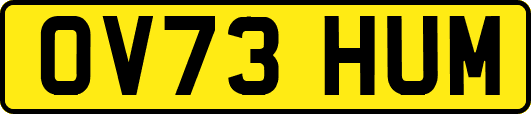OV73HUM