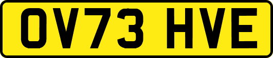 OV73HVE