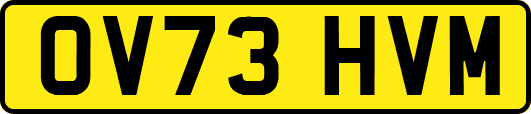 OV73HVM