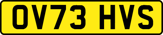 OV73HVS