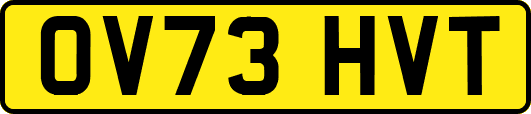 OV73HVT