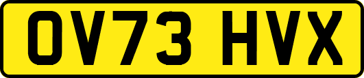 OV73HVX