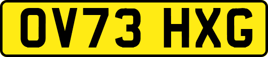 OV73HXG
