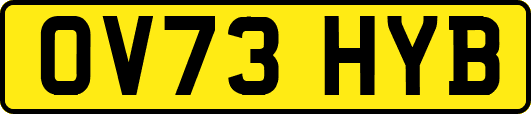 OV73HYB
