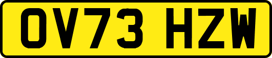OV73HZW