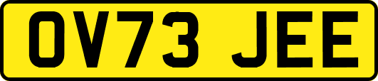 OV73JEE