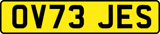 OV73JES