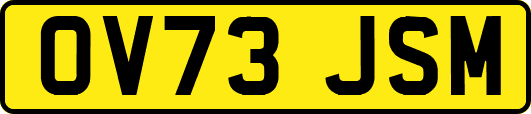 OV73JSM