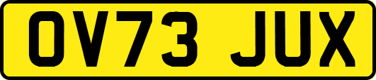 OV73JUX