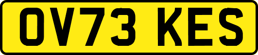 OV73KES