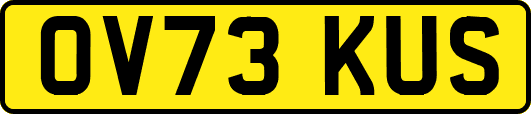 OV73KUS