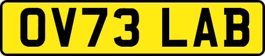 OV73LAB