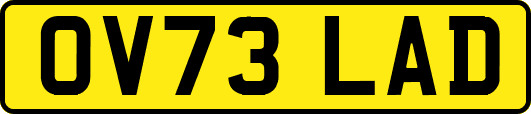 OV73LAD