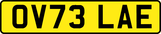 OV73LAE