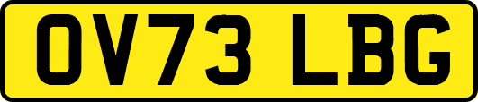 OV73LBG