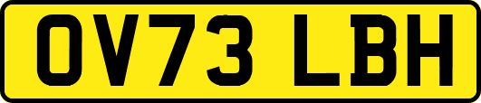 OV73LBH
