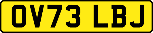 OV73LBJ