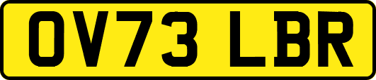OV73LBR