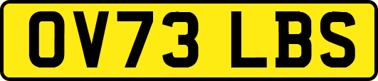 OV73LBS