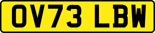 OV73LBW