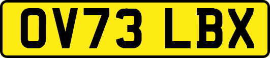 OV73LBX