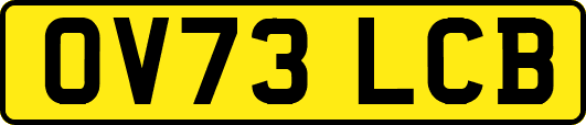 OV73LCB