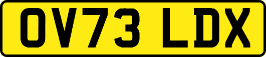 OV73LDX