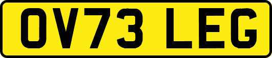 OV73LEG