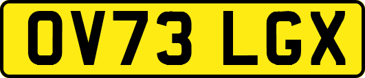OV73LGX